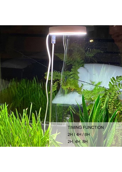 Bitki Doldurma Lambası, Yerden Tasarruf Sağlayan Ayarlanabilir Parlaklık Bitki Iç Mekan Bitkileri Için Işık Yetiştirme (Yurt Dışından) modelleri