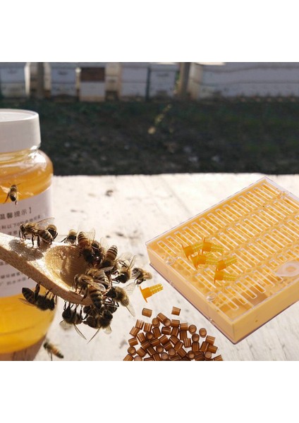 Arıcılık Fincan Seti 120 Hücre Bardak Arı Alet Seti Kafes Arıcılık Yardımcısı (Yurt Dışından) fırsatları