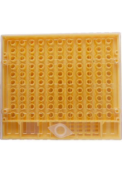 Arıcılık Fincan Seti 120 Hücre Bardak Arı Alet Seti Kafes Arıcılık Yardımcısı (Yurt Dışından) indirimleri