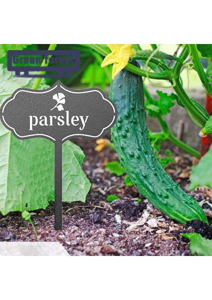 Yeşil Orman Bitki Işaretleyici T-Şekli Etiketler Çiftlik Sera Bitkisel Sebze Bitki Etiketi (Yurt Dışından) indirimleri
