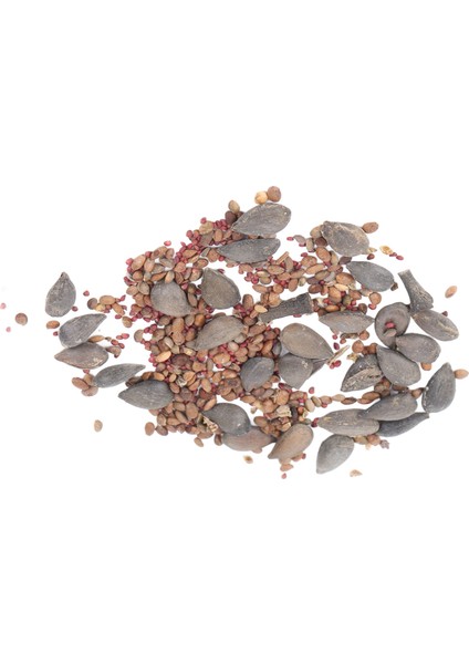 Yabanmersini Tohumları, 100 Adet Ahududu Tohumu Bahçeler Için 5 Çeşit (Yurt Dışından) fiyatları