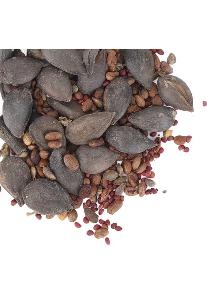 Yabanmersini Tohumları, 100 Adet Ahududu Tohumu Bahçeler Için 5 Çeşit (Yurt Dışından) indirimleri