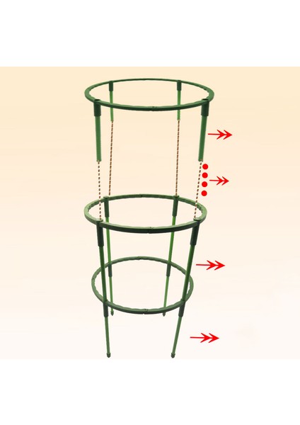 4pcs Bahçe Tesisi Destek Kafesi Plie Çiçek Standı Tutucu Bahçecilik Bonsai Aracı Karşılaşma (Yurt Dışından)