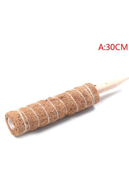 Bitki Tırmanma Hindistan Cevizi Totem Direği Güvenli Bahçecilik Hindistan Cevizi Hurma Sopa Tırmanma Güneş Işığı Süper Mağaza (Yurt Dışından) indirimleri