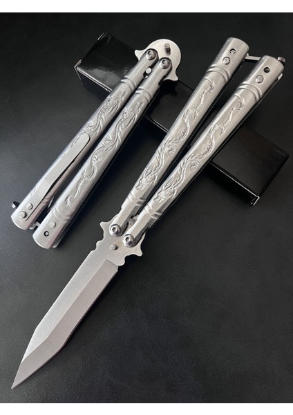 Ejder Çelik Çakı1