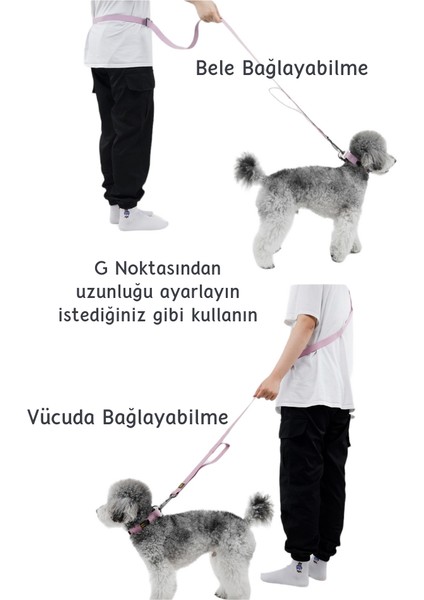 Su Geçirmez Güçlü Kancalı Sarı Köpek Gezdirme Kayışı 2M