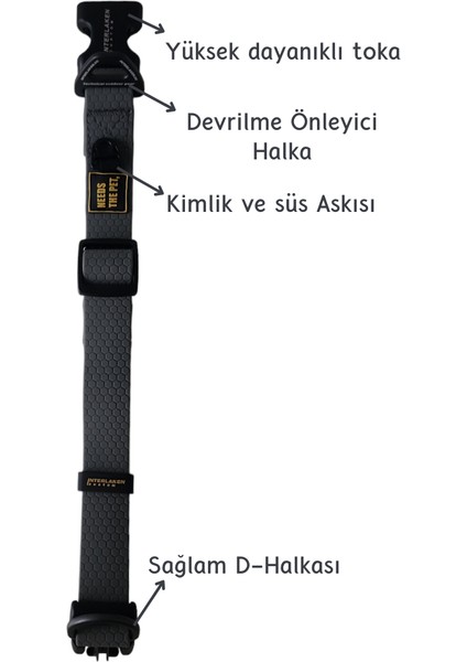 Su Geçirmez Sağlam D-halkalı Gri Köpek Boyun Tasması -Small