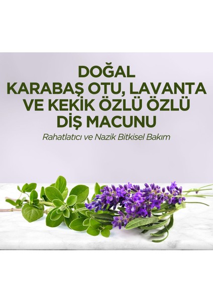 Doğal Karabaş Otu, Lavanta ve Kekik Özlü Diş Macunu 90 ml