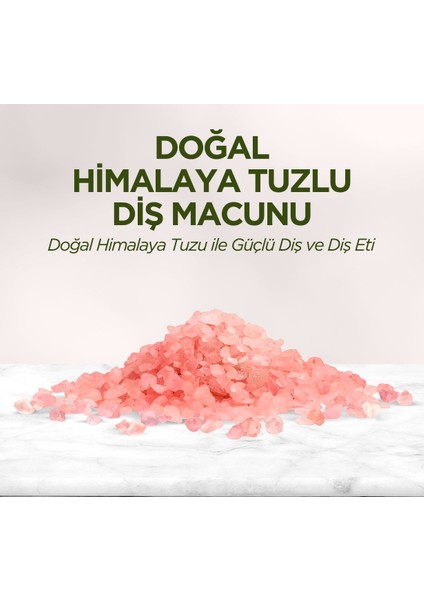 Doğal Himalaya Tuzlu Diş Macunu 90 ml