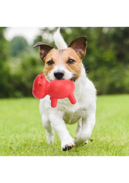 Köpek Kauçuk Oyuncak Diş Temizleme ve Isırmaya Dalı Red Bull (Yurt Dışından)