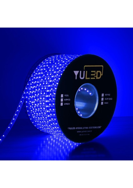 Mavi 3 Çipli İç Dış Mekan Silikonlu Şerit LED 220V Metrede 60 Ledli 1 Metre + Güç Fişi