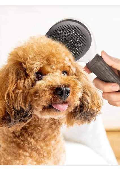 Otomatik Temizlenen Tuşlu Basmalı Telli Kedi Köpek Için Tüy Toplama Tarama Bakım Fırçası Pet Brush