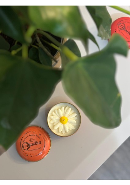 Chemdle Lavanta Kokulu,papatyalı Mum fiyatları