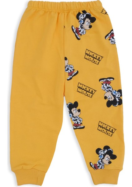 Erkek Bebek Mickey Mouse Baskılı Şapkalı Alt Üst 2'li Takım modelleri