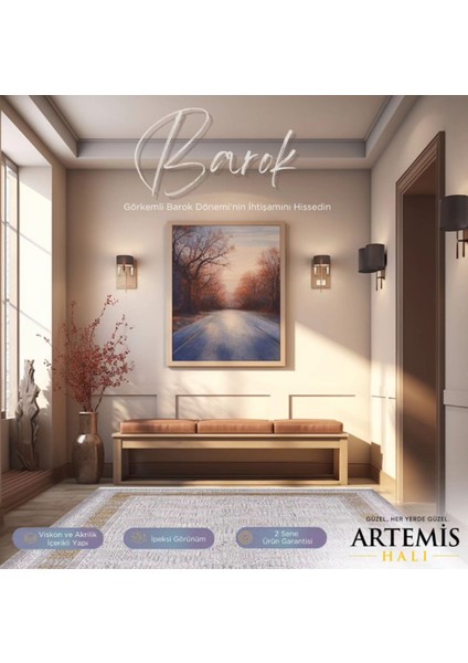 Artemis Halı Barok Antrasit Çerçeve Desenli Halı