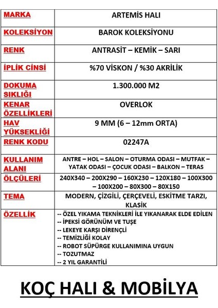 Artemis Halı Barok Antrasit Çerçeve Desenli Halı