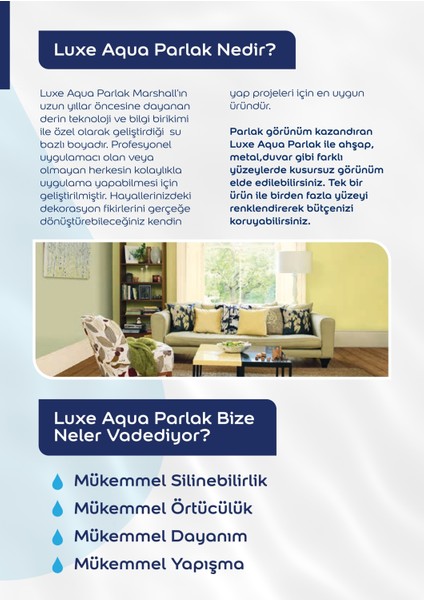 Luxe Aqua Parlak Genel Amaçlı Saf Akrilik Su Bazlı Boya 1L Vişne