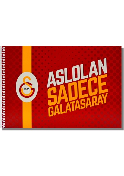 Galatasaray 24X34 15 Yaprak Karton Kapak Spiralli Resim Defteri (463634)