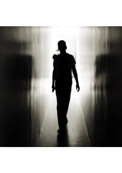 Imposter - Dave Gahan