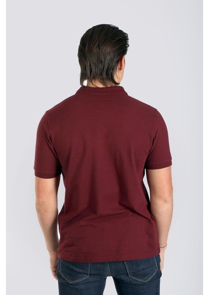 Twıns 1 Erkek Pike Polo Yaka T-Shırt Mürdüm modelleri
