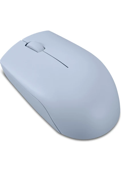 300 Wireless Compact Mouse GY51L15679