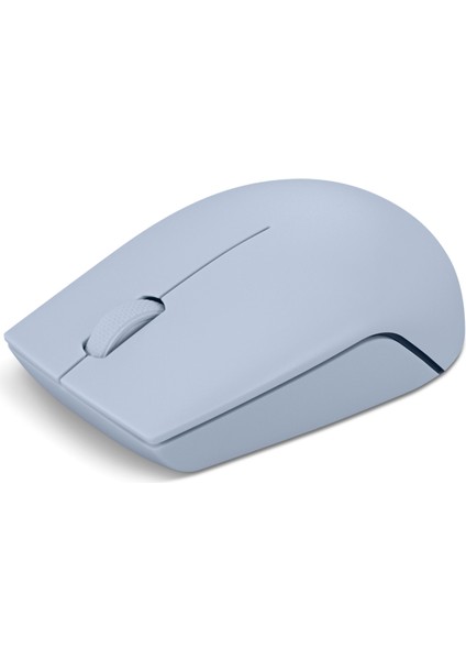 300 Wireless Compact Mouse GY51L15679