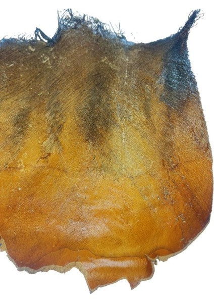 Kurutulmuş Palmiye Ağacı Kabuğu Lifi Natural Ağaç Gövdesi Kokos