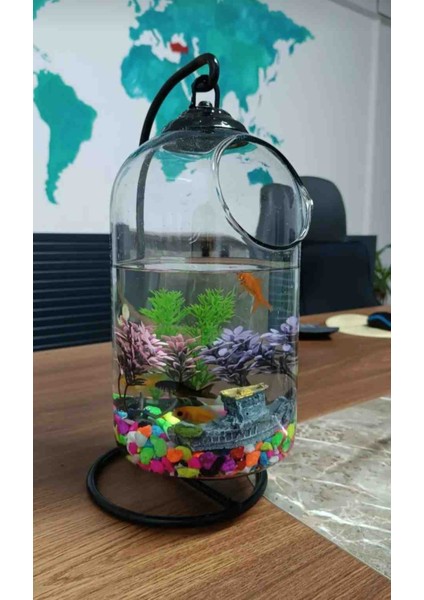 Ferforjeli Akvaryum Askılı Fanus Teraryum Ofis