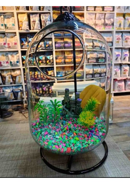 Ferforjeli Akvaryum Askılı Fanus Teraryum Ofis fiyatları