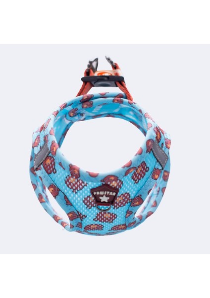 Air-Mesh Bears Köpek Göğüs Tasması