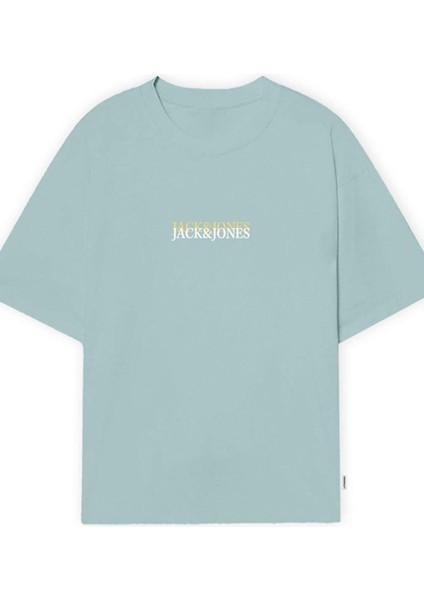 Jorlafayette Emb Tee Ss Crew NECK12251768 A.gri Tshirt modelleri