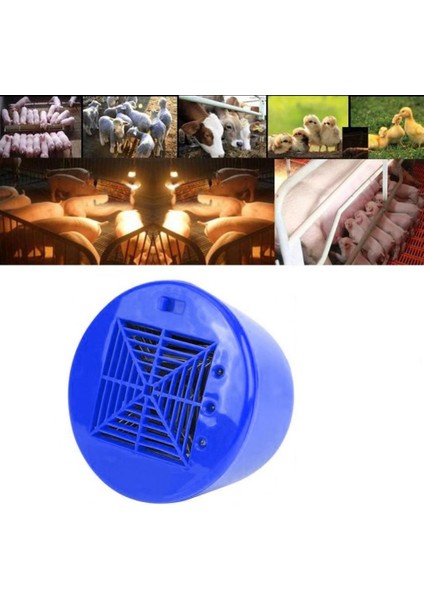 Mavi Stil Yetiştirme Isıtma Lambası Termostat Fan Isıtıcı Işık Tavuk Domuzlar Pet Brooder Tavuklar Sürüngen Lamba Evcil Hayvan Ürünleri Için Küçük P (Yurt Dışından) fırsatları