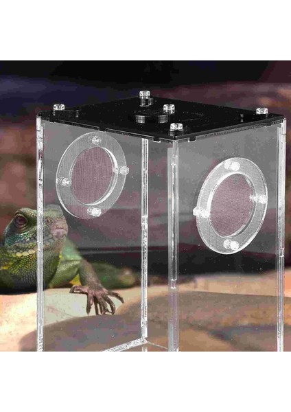 Siyah Stil Örümcek Habitat Kafes Cam Kaplar Yılan Teraryum Habitat Kertenkele Teraryum Sürüngen Besleme Kutusu Kabuk Taşınabilir Gecko Habitat (Yurt Dışından) fırsatları