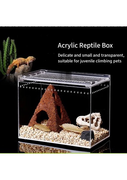 25X15X15 Stili Yeni Akrilik Sürüngen Yetiştiriciliği Kutusu Kertenkele Kurbağa Sürüngen Teraryum Kafesi Besleme Tankı Sızdırmaz Pet Kutusu Ev Ofis Dekor Terrario (Yurt Dışından) fiyatları