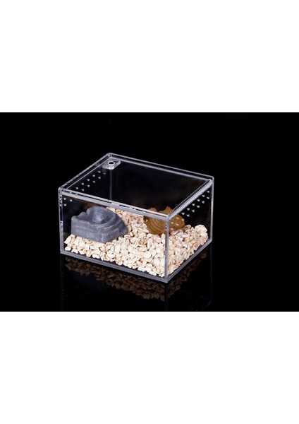 25X15X15 Stili Yeni Akrilik Sürüngen Yetiştiriciliği Kutusu Kertenkele Kurbağa Sürüngen Teraryum Kafesi Besleme Tankı Sızdırmaz Pet Kutusu Ev Ofis Dekor Terrario (Yurt Dışından) modelleri