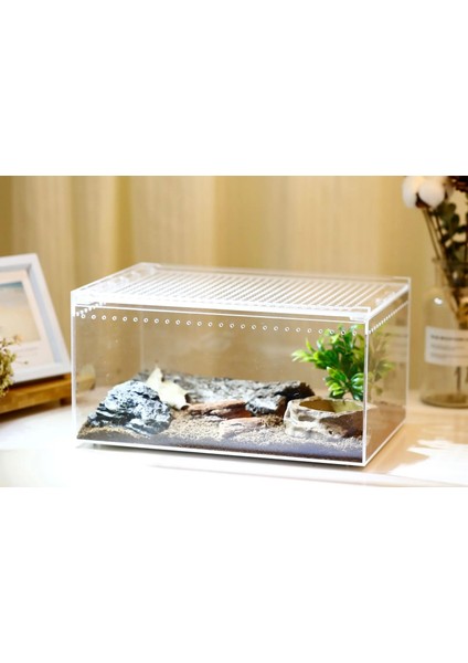 25X15X15 Stili Yeni Akrilik Sürüngen Yetiştiriciliği Kutusu Kertenkele Kurbağa Sürüngen Teraryum Kafesi Besleme Tankı Sızdırmaz Pet Kutusu Ev Ofis Dekor Terrario (Yurt Dışından) indirimleri