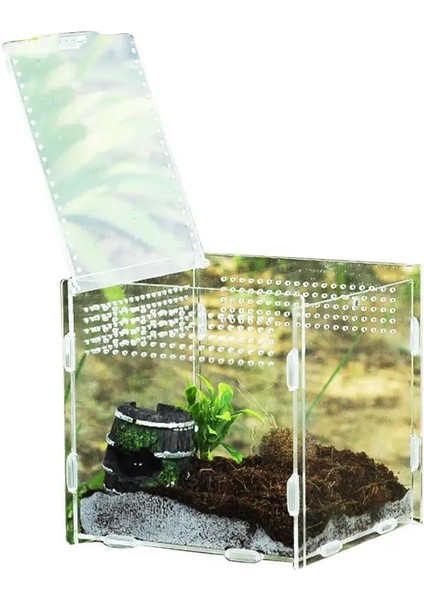 15X15X15CM Tarzı cm Şeffaf Sürüngen Yetiştiriciliği Kutusu Akrilik Besleme Kutusu 360 Derece Yüksek Şeffaf Manyetik Pet Tırmanma Teraryum (Yurt Dışından)