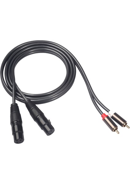 Ses Kablosu 2 Rca Dişi Çift 2 Xlr 3-Pin Erkek Interkom Amplifikatörü (Yurt Dışından)