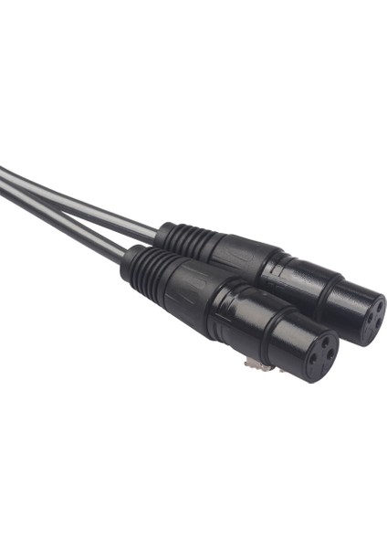 Ses Kablosu 2 Rca Dişi Çift 2 Xlr 3-Pin Erkek Interkom Amplifikatörü (Yurt Dışından)