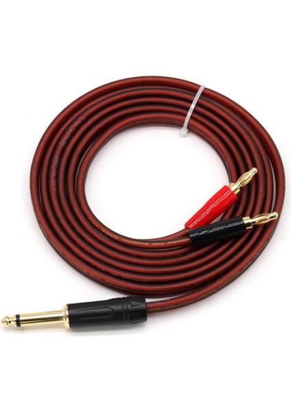 1/4 Ts - Banana Fiş, 6.35MM Ts Altın Kaplama 1/4 Ts Erkek - Çift (1.5m) (Yurt Dışından)