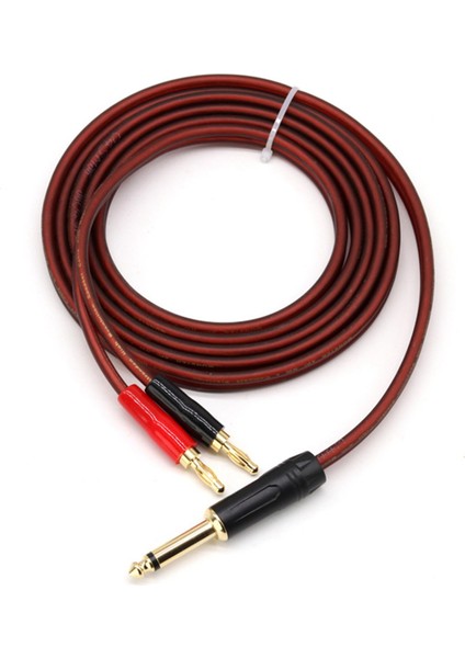 1/4 Ts - Banana Fiş, 6.35MM Ts Altın Kaplama 1/4 Ts Erkek - Çift (1.5m) (Yurt Dışından)