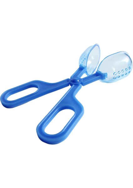 Mavi Stil Sürüngen Teraryum Kertenkele Plastik Maşa Cımbız Evcil Hayvan Yetiştirme Besleme Aracı Sınıf Okul Bitki Böcek Biyolojisi Çalışma Araçları (Yurt Dışından)