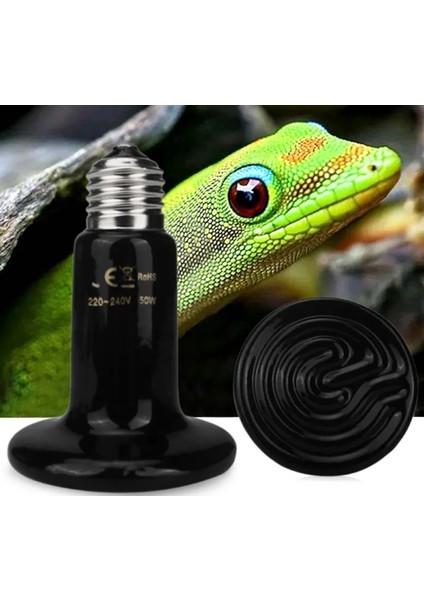 50W-4PCS Tarzı 4 Kaplumbağa Teraryum Lnfrared Lamba Sürüngen Brooder Kertenkele Isıtma Sürüngenler Için Chocadeira Sürüngen Tortuguera Seramik Verici Isıtma (Yurt Dışından) fırsatları