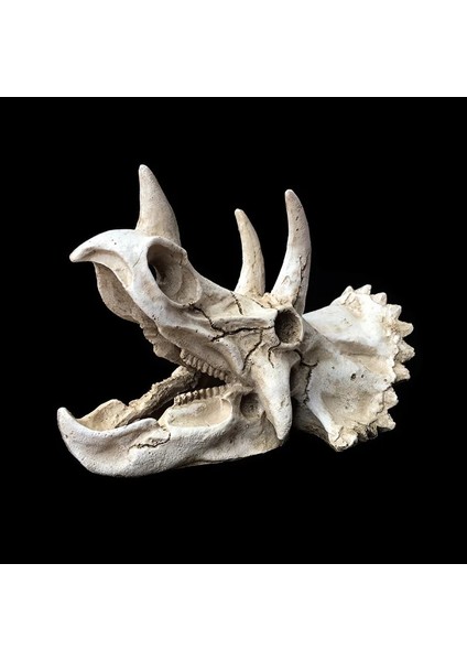 Triceratops Stili Sürüngen Amfibi Pet Kutusu Dekorasyon Remülasyon Triceratops Dinozor Fosili Süs Besleme Kutusu Sürüngen Pet Malzemeleri (Yurt Dışından)
