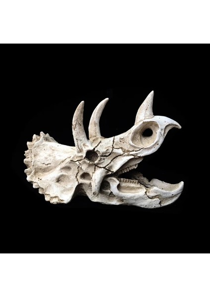 Triceratops Stili Sürüngen Amfibi Pet Kutusu Dekorasyon Remülasyon Triceratops Dinozor Fosili Süs Besleme Kutusu Sürüngen Pet Malzemeleri (Yurt Dışından) modelleri