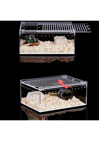 20X15X10 Stili Yeni Akrilik Sürüngen Yetiştiriciliği Kutusu Kertenkele Kurbağa Sürüngen Teraryum Kafesi Besleme Tankı Sızdırmaz Pet Kutusu Ev Ofis Dekor Terrario (Yurt Dışından) fırsatları