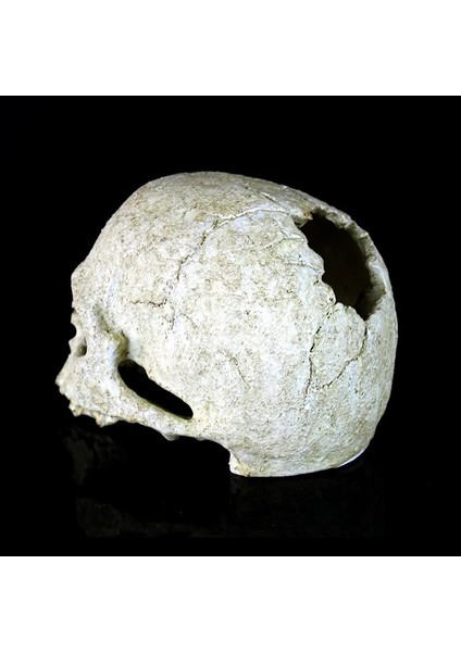Reçine Insan Kafatası Iskelet Su Tankı Akvaryum Süs Teraryum Süslemeleri Bahçe Heykelleri Kişilik Sanat Oyma Heykeli Modeli (Yurt Dışından)