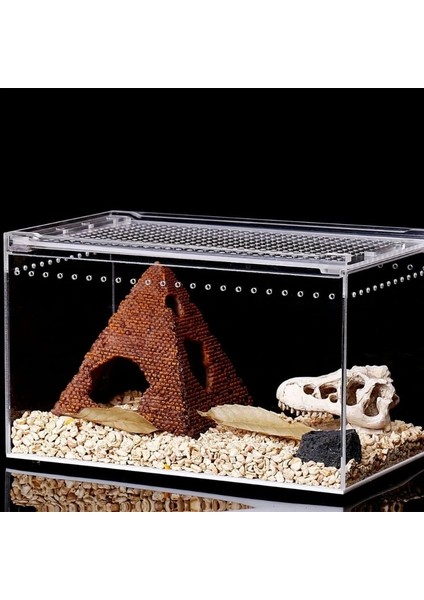 25X15X15 Stili Temizle Tasarlanmış Sürüngen Pet Besleme Örümcek Yılan Salyangoz Boynuz Böcek Yetiştirme Kutusu (Yurt Dışından) fırsatları