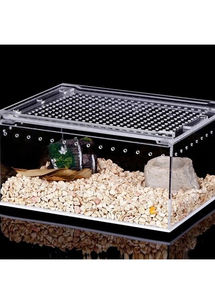 25X15X15 Stili Temizle Tasarlanmış Sürüngen Pet Besleme Örümcek Yılan Salyangoz Boynuz Böcek Yetiştirme Kutusu (Yurt Dışından) indirimleri