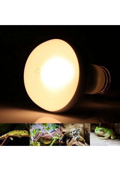 Beyaz Stil 8 Paket 75W Sürüngen Işık Uva Isı Lambası Ampul Sakallı Ejderha Aksesuarları Sürüngenler 220V (Yurt Dışından) fiyatları